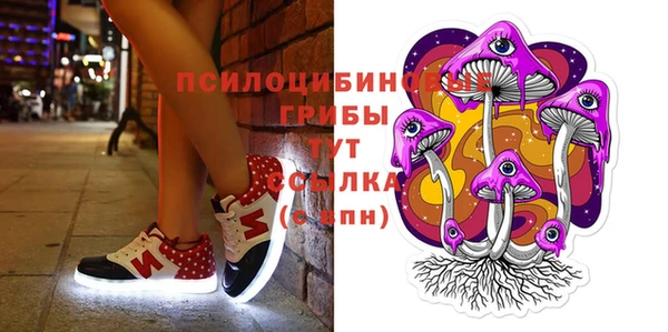 крисы Горно-Алтайск